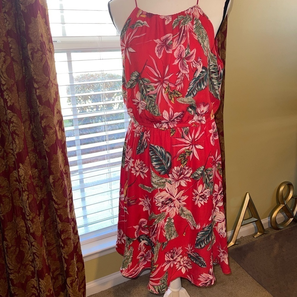She + Sky Red Floral Dress